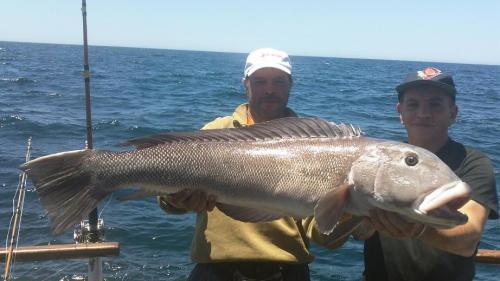 GIGANTES DEL MAR